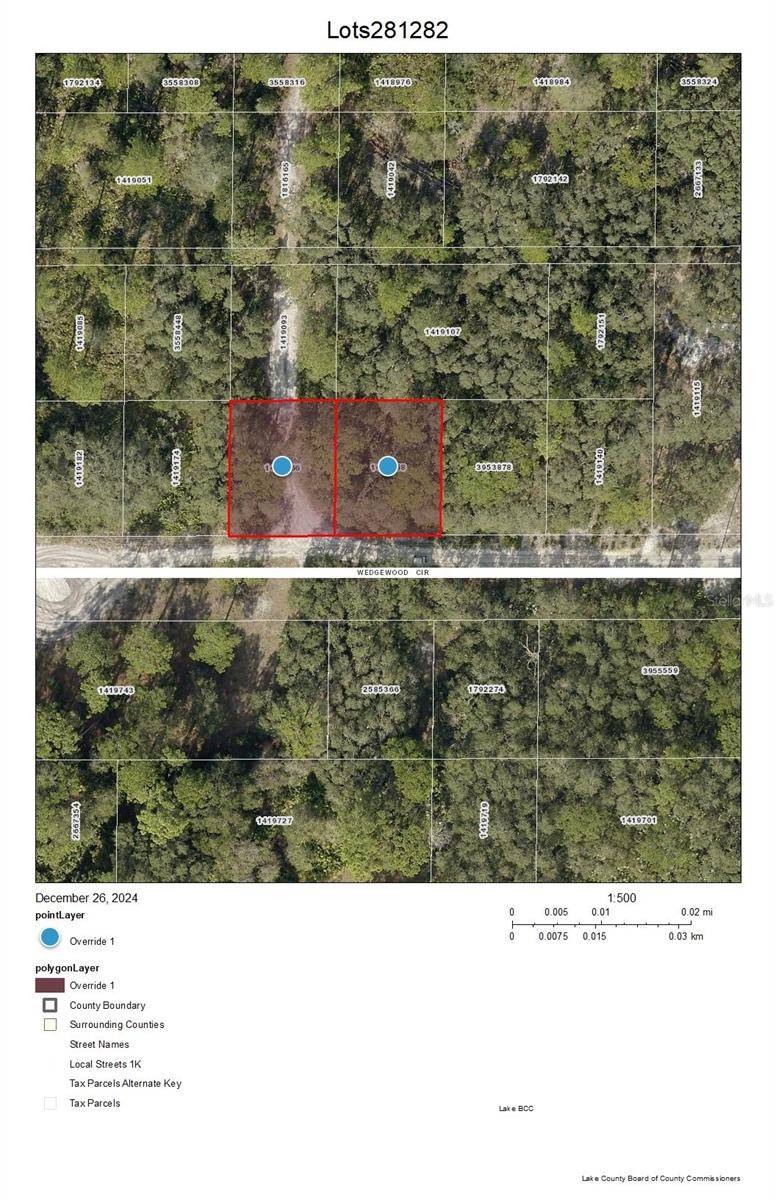 Mount Dora, FL 32757,Lots 281 & 282 BROOKSIDE CIR