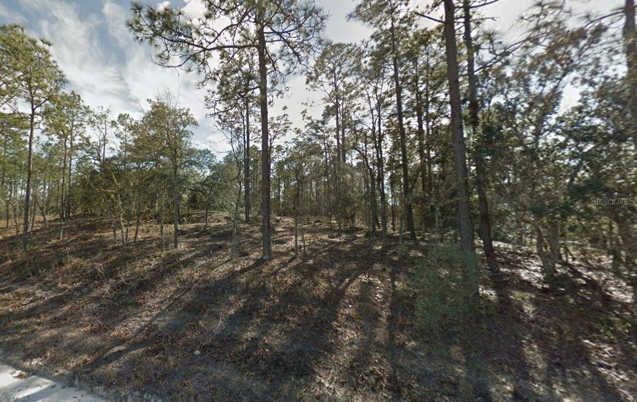 Morriston, FL 32668,0 SE 21ST PL