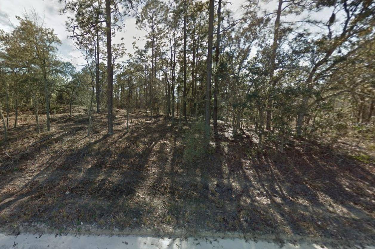 Morriston, FL 32668,0 SE 21ST PL