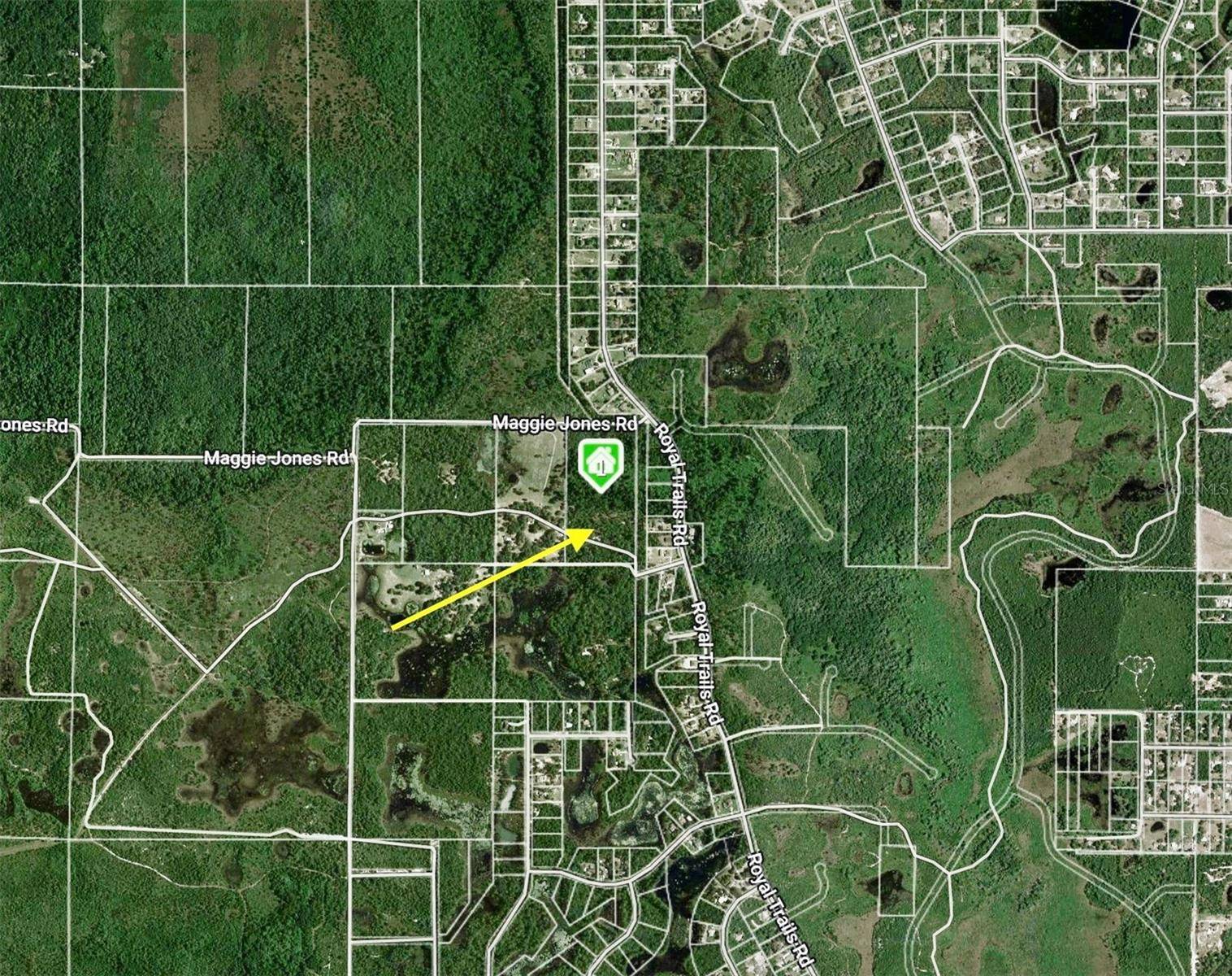 Paisley, FL 32767,40001 MAGGIE JONES RD