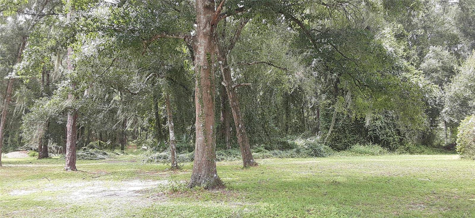 Wildwood, FL 34785,5245 WARM SPRINGS AVE