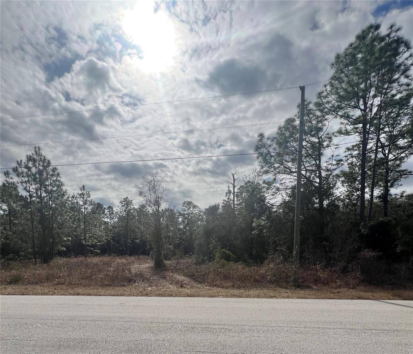 Dunnellon, FL 34431,TBD SW TIGER LAKE BLVD