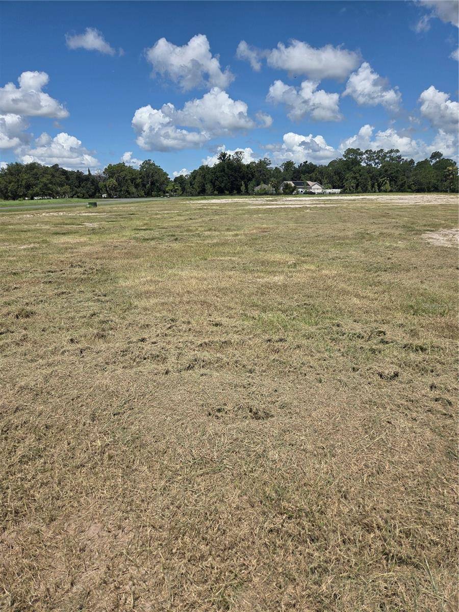Umatilla, FL 32784,38401 WOODED MEADOW DR