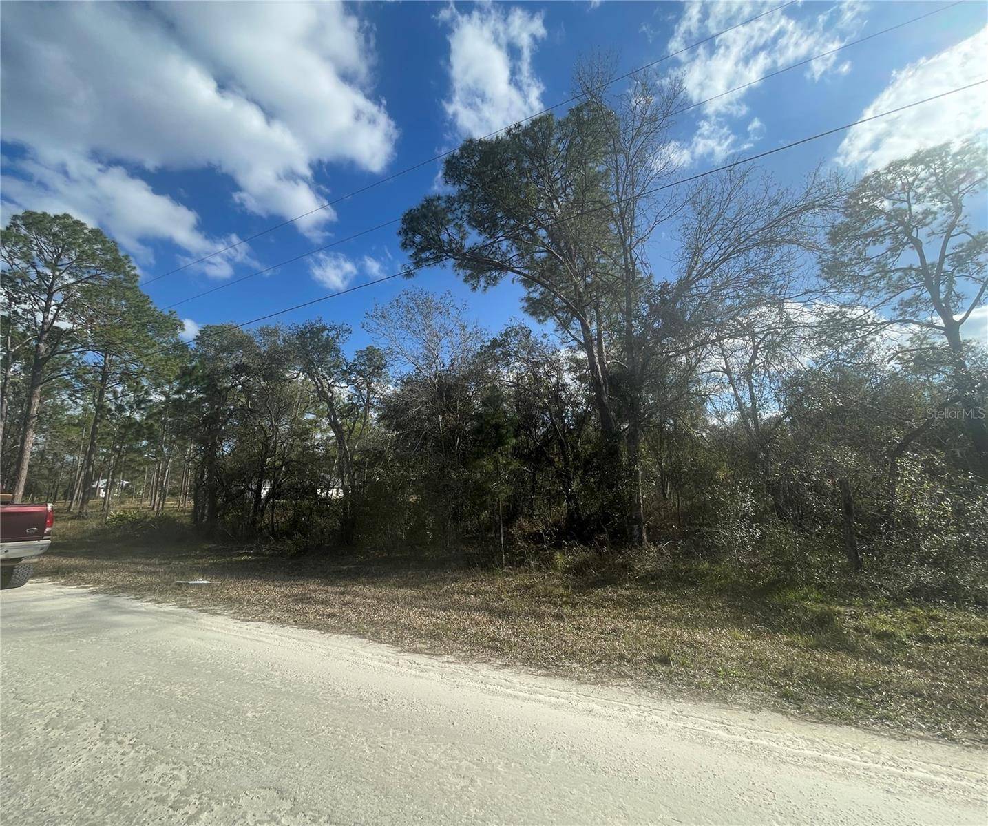 Webster, FL 33597,BUTTERNUT DR