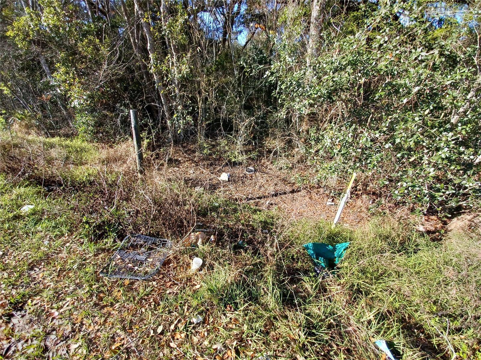 Lady Lake, FL 32159,524 S US HIGHWAY 27 - 441 #441