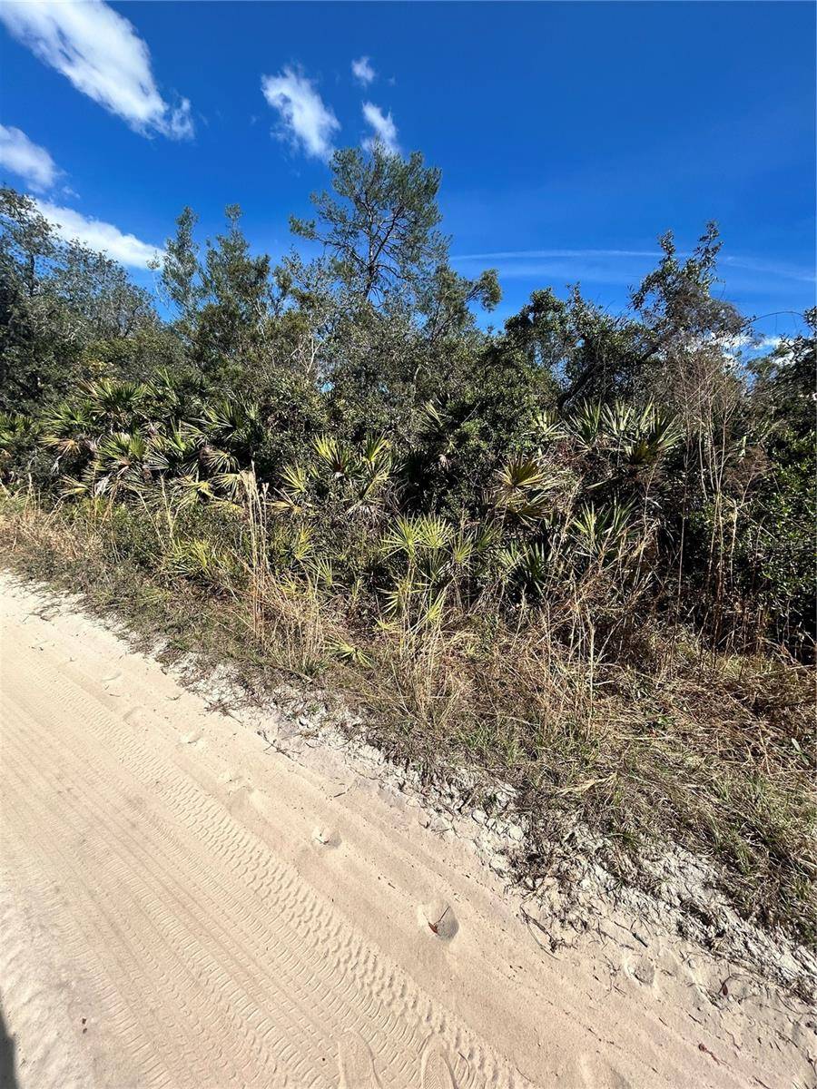 Altoona, FL 32702,DEER CROSSING RD