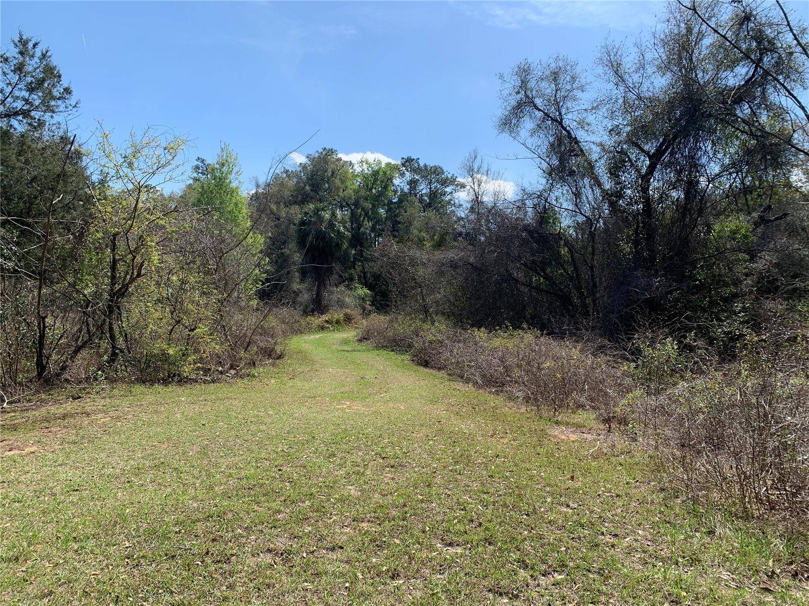 Inverness, FL 34453,1220 N PAUL DR