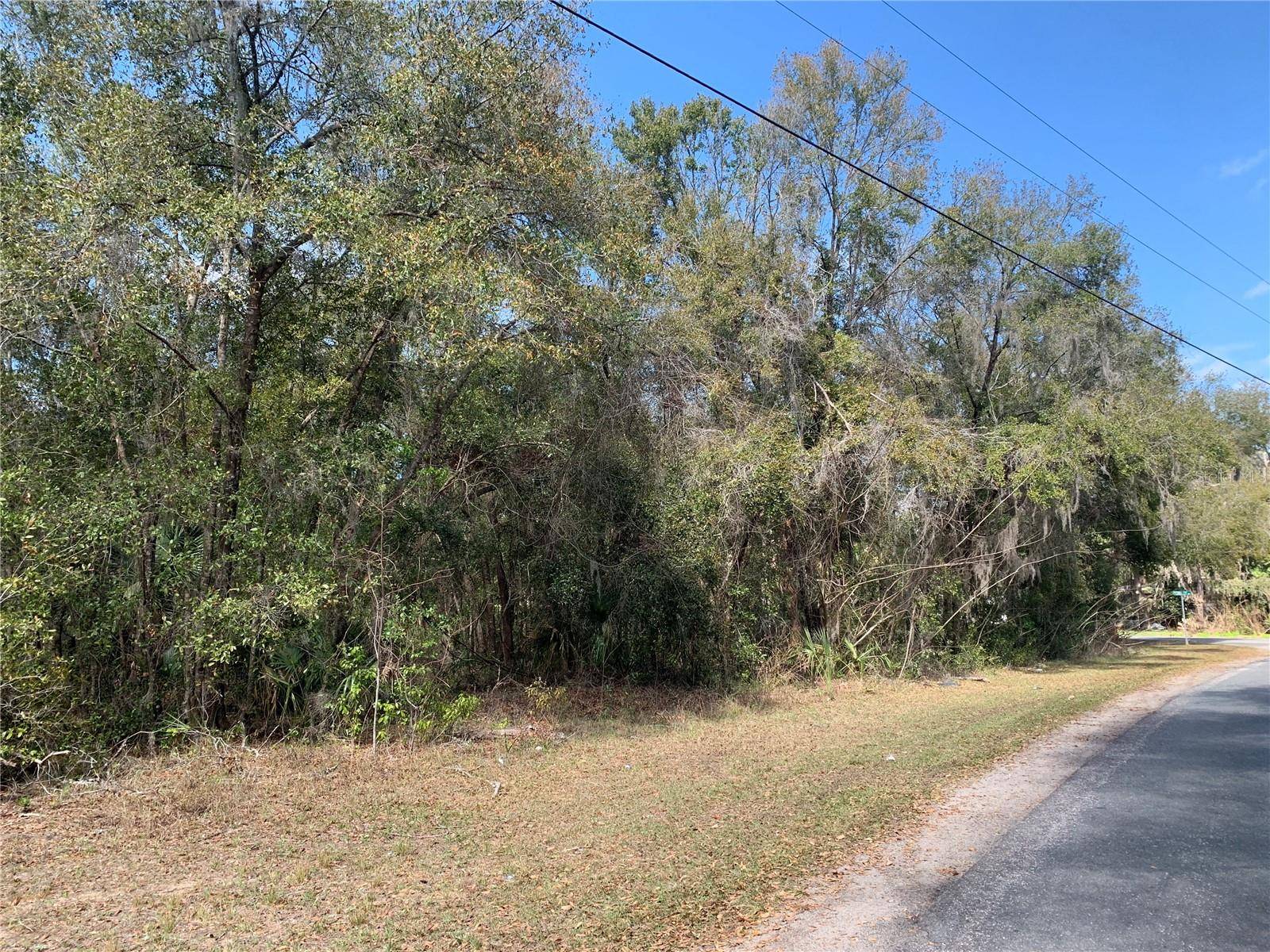 Inverness, FL 34453,1220 N PAUL DR