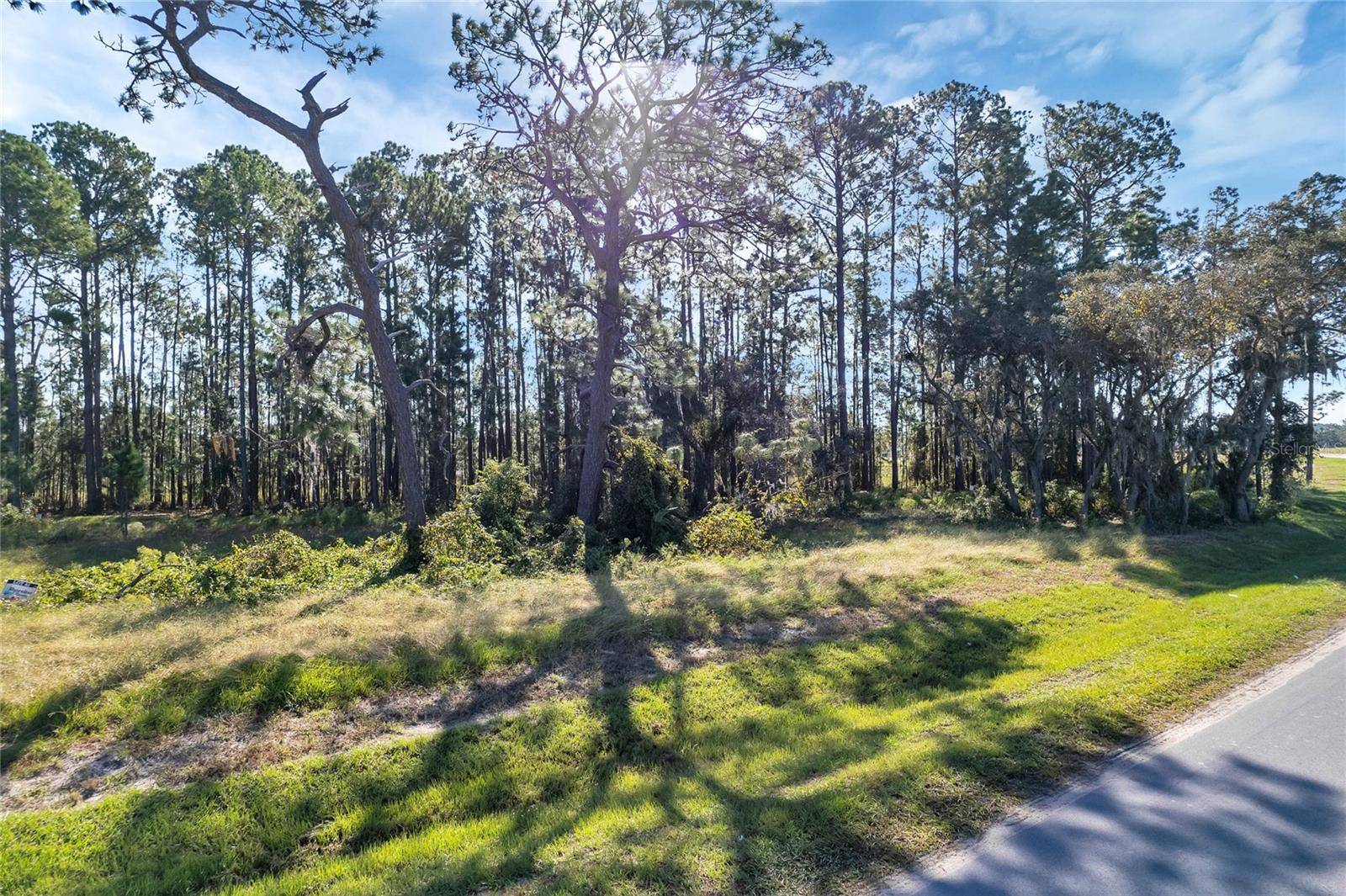 Umatilla, FL 32784,38514 WOODED MEADOW DR