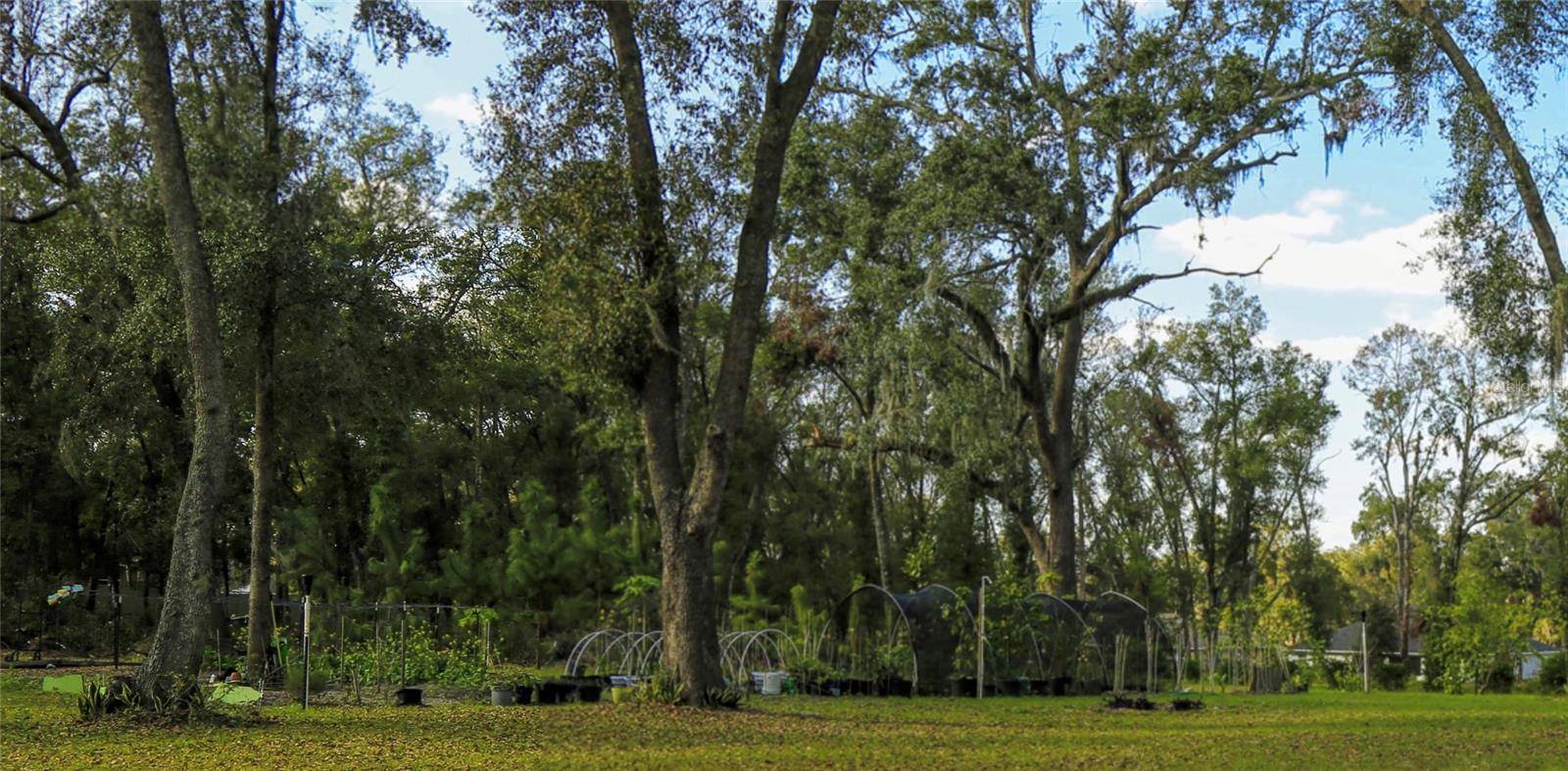 Fruitland Park, FL 34731,600 URICK ST