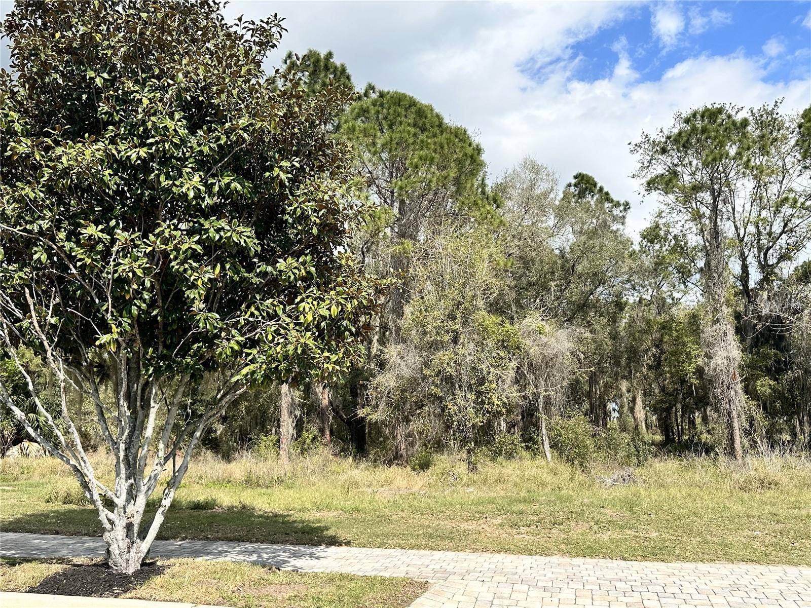 Bella Collina, FL 34756,17233 ETRUSCAN LN