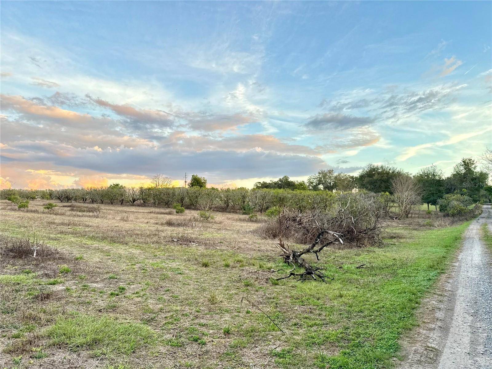 Weirsdale, FL 32195,000 SE SE 165TH AVE