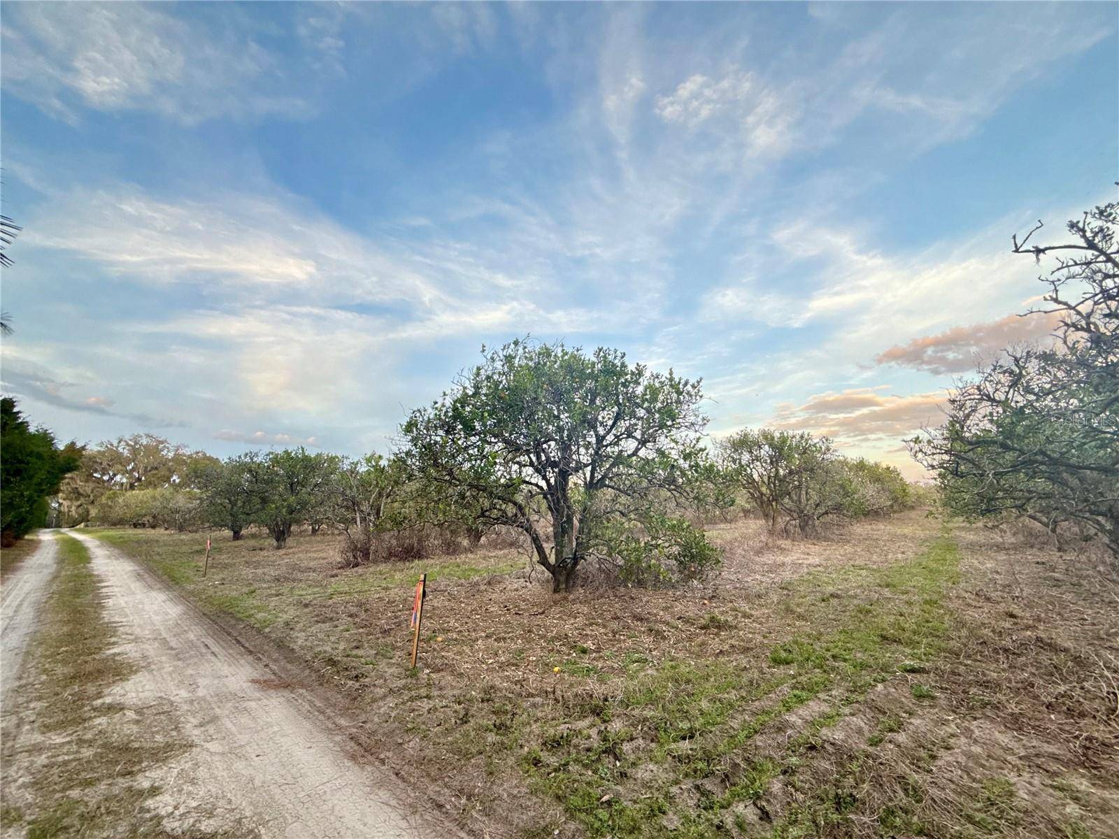 Weirsdale, FL 32195,000 SE SE 165TH AVE