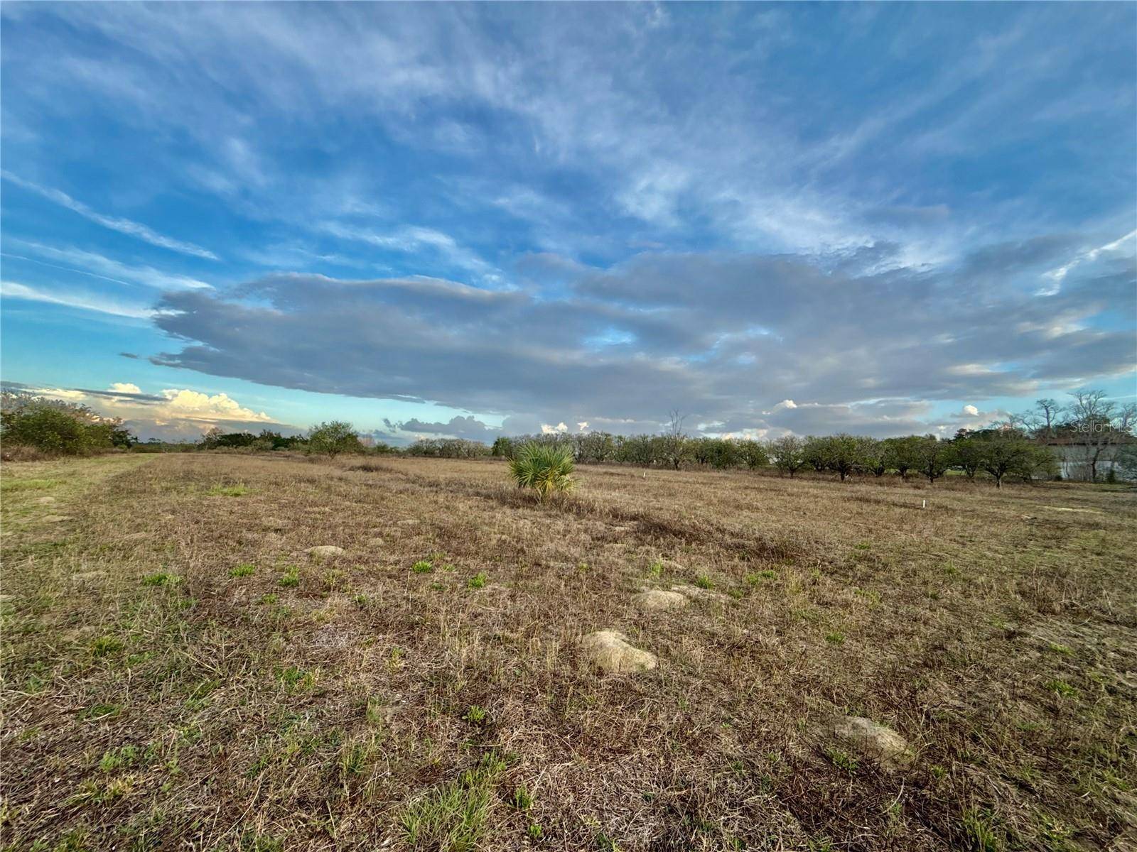 Weirsdale, FL 32195,SE 165TH AVE