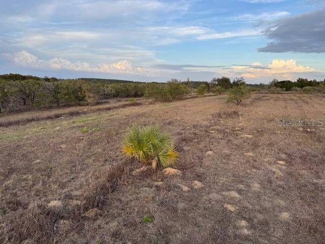 Weirsdale, FL 32195,SE 165TH AVE