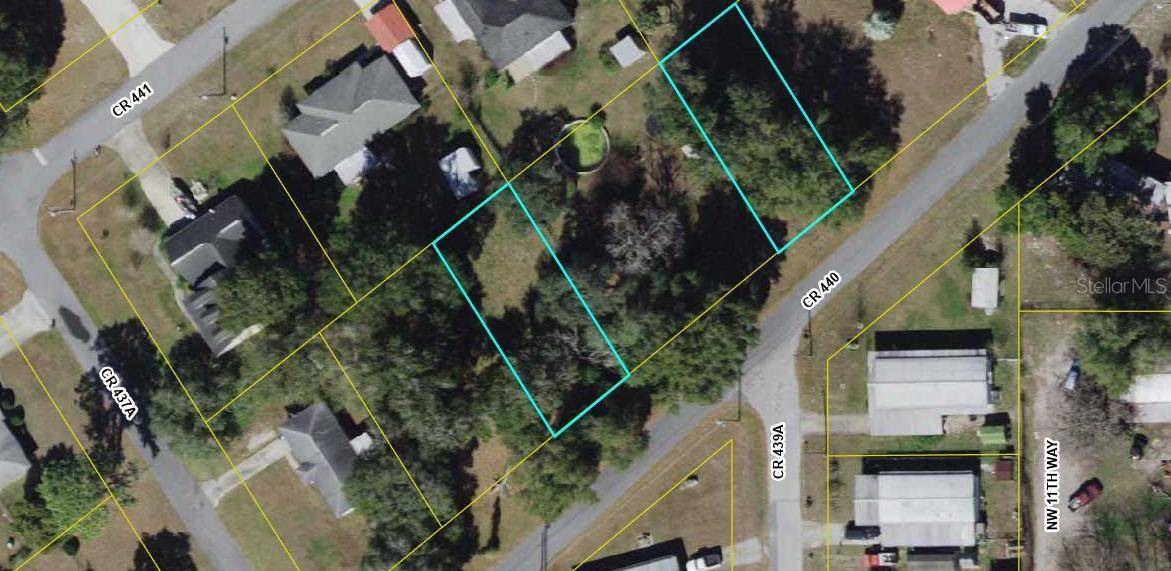 Lake Panasoffkee, FL 33538,Lot 16 & 19 CR 440