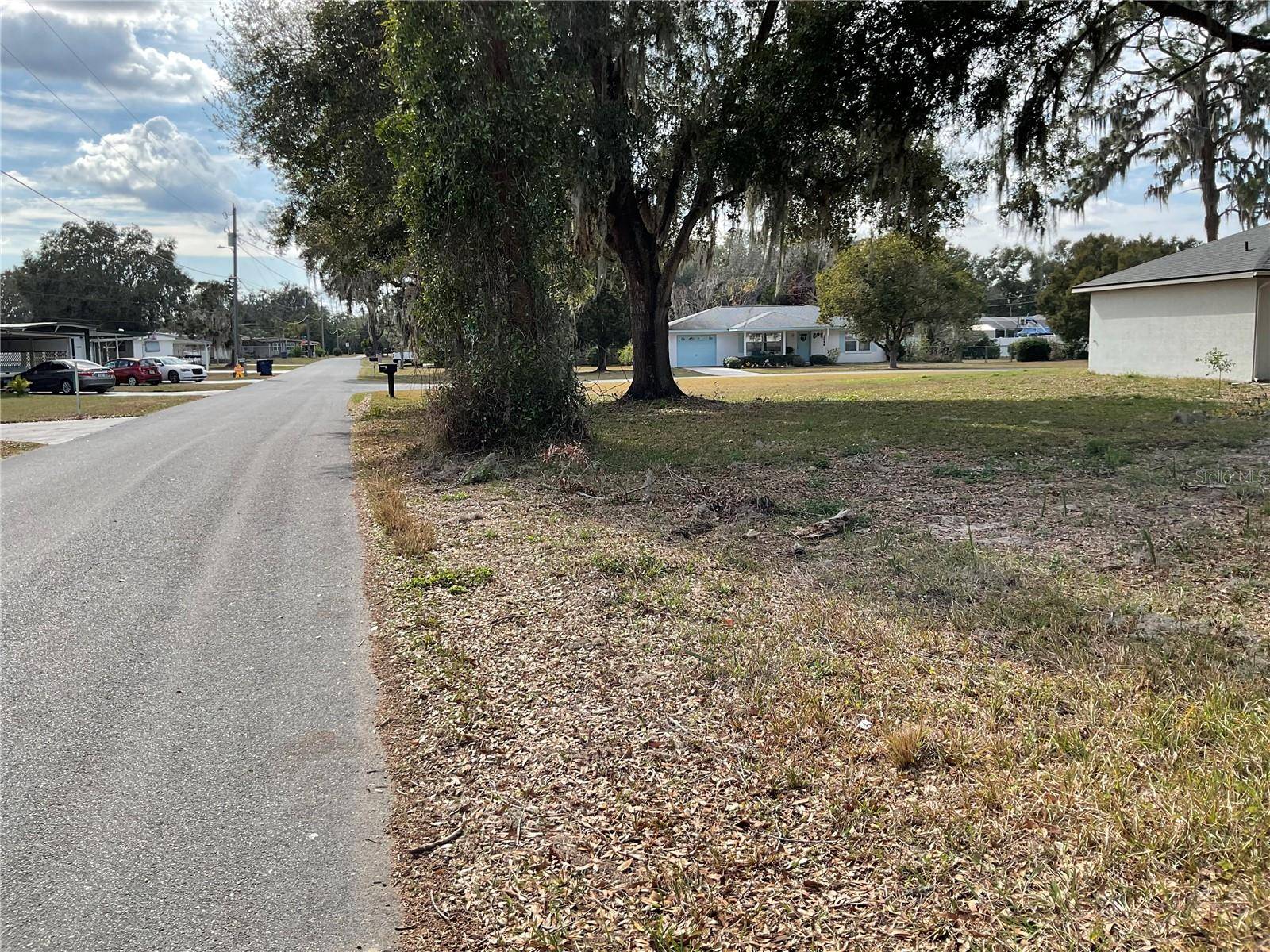 Lake Panasoffkee, FL 33538,Lot 16 & 19 CR 440