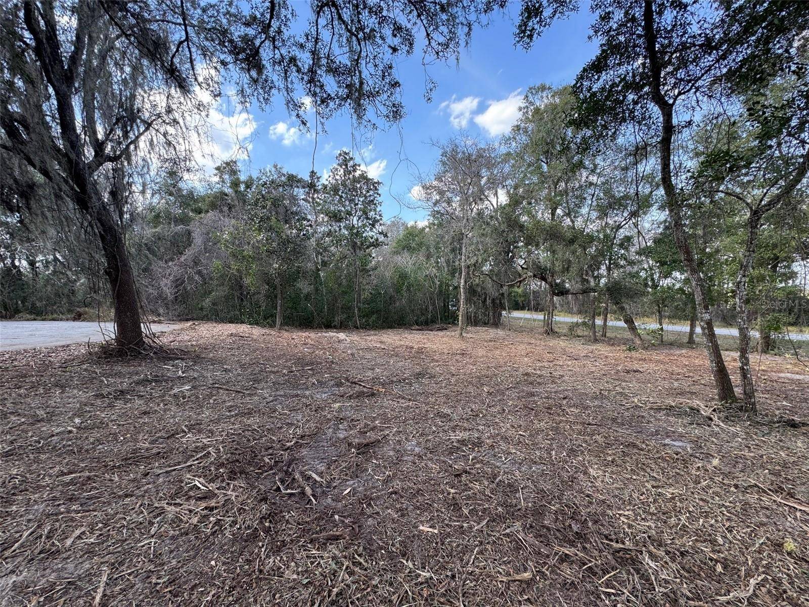 Ocala, FL 34472,SPRUCE TERRACE WAY