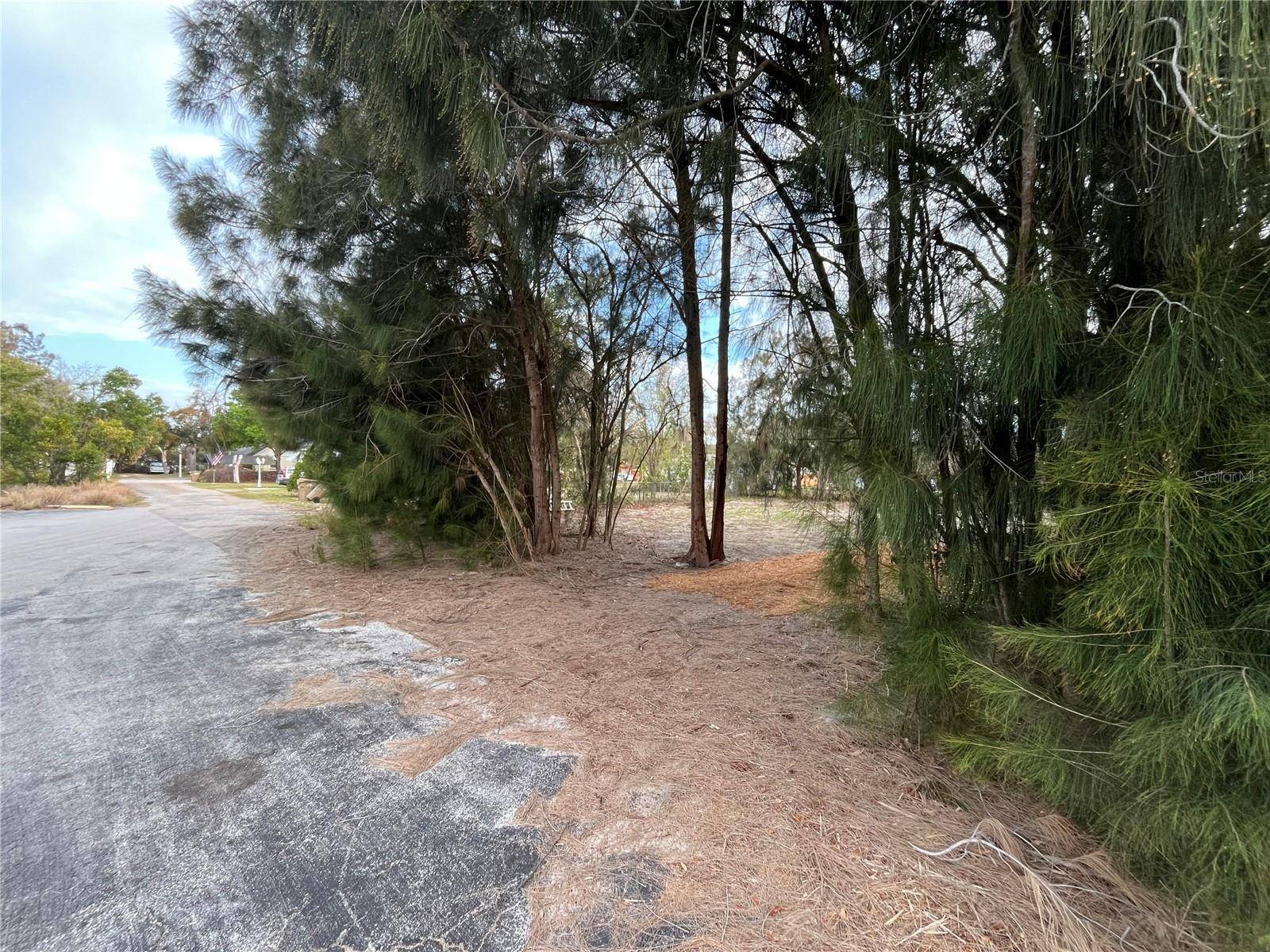 Mount Dora, FL 32757,3701 FOURNIER AVE