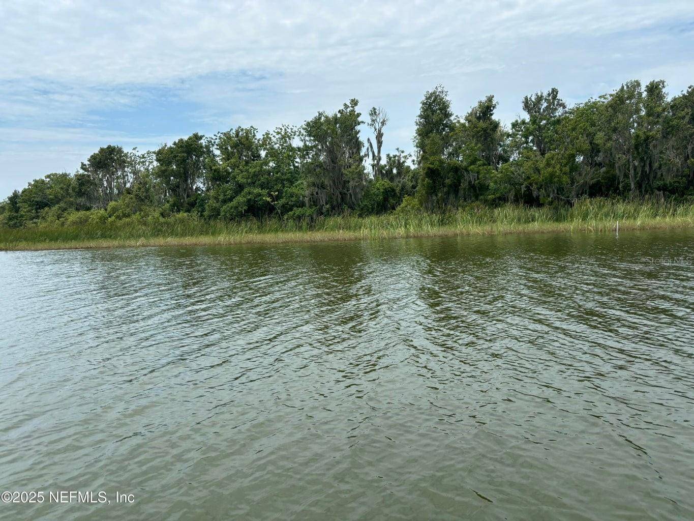 Lady Lake, FL 32159,6001 BIRD ISLAND DR
