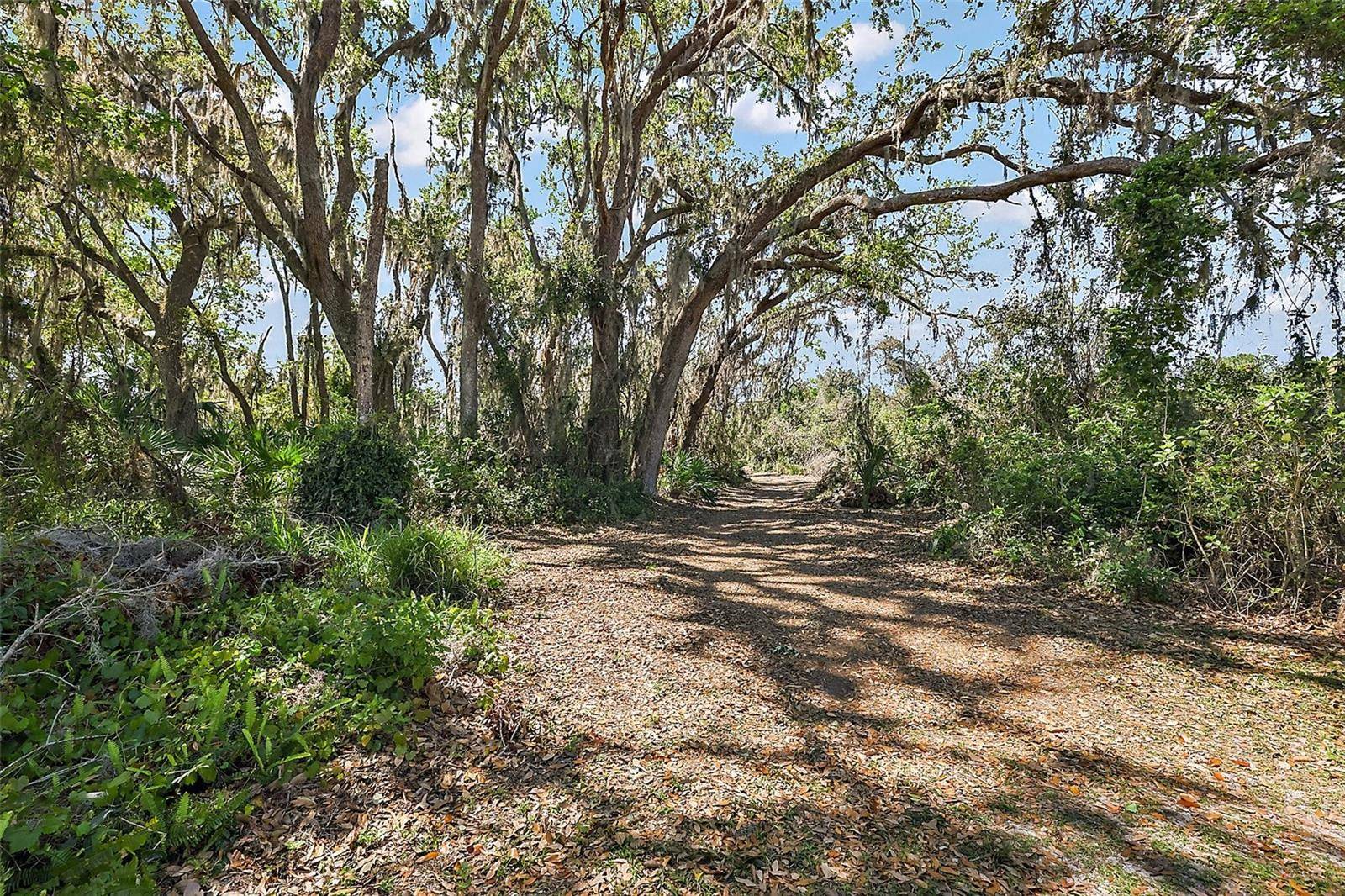 Okahumpka, FL 34762,5100 BANANA POINT DR