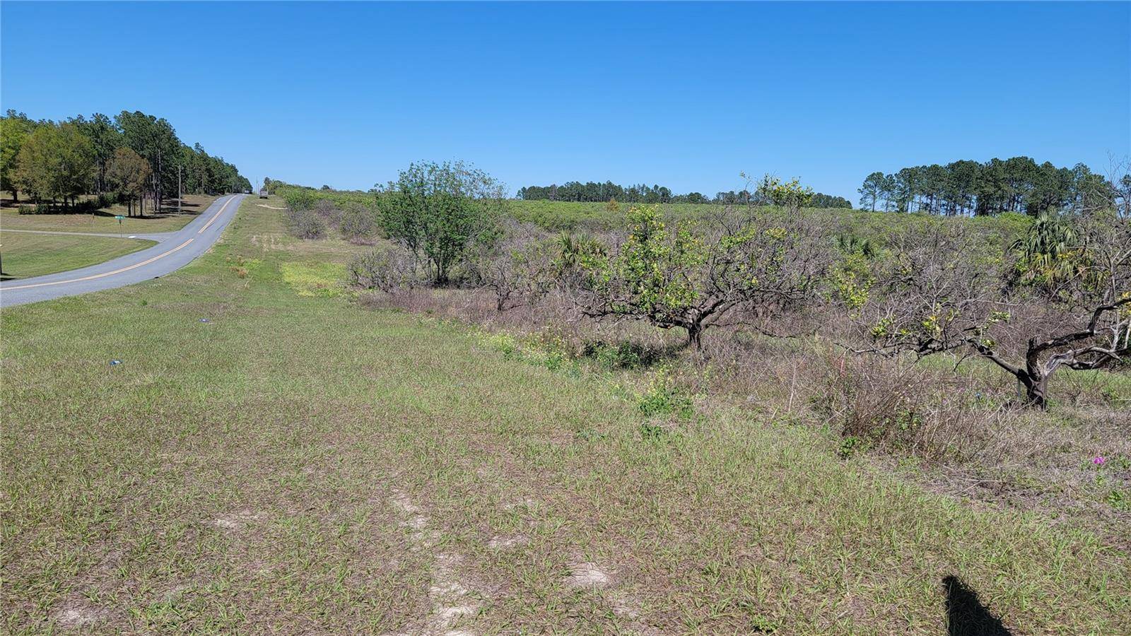 Eustis, FL 32736,0 THRILL HILL RD