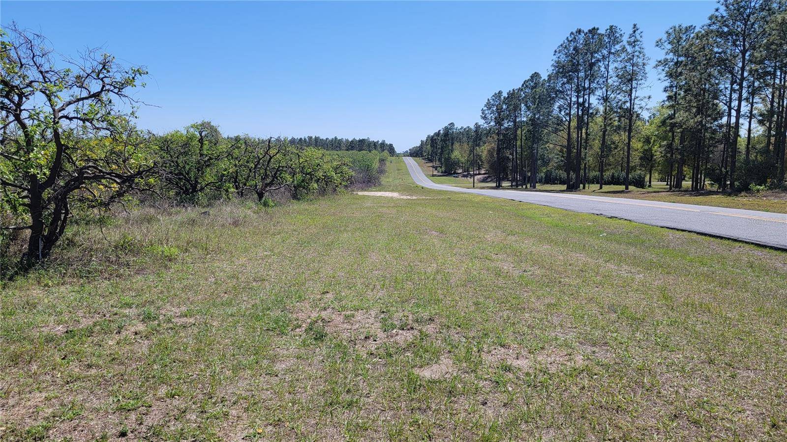 Eustis, FL 32736,0 THRILL HILL RD