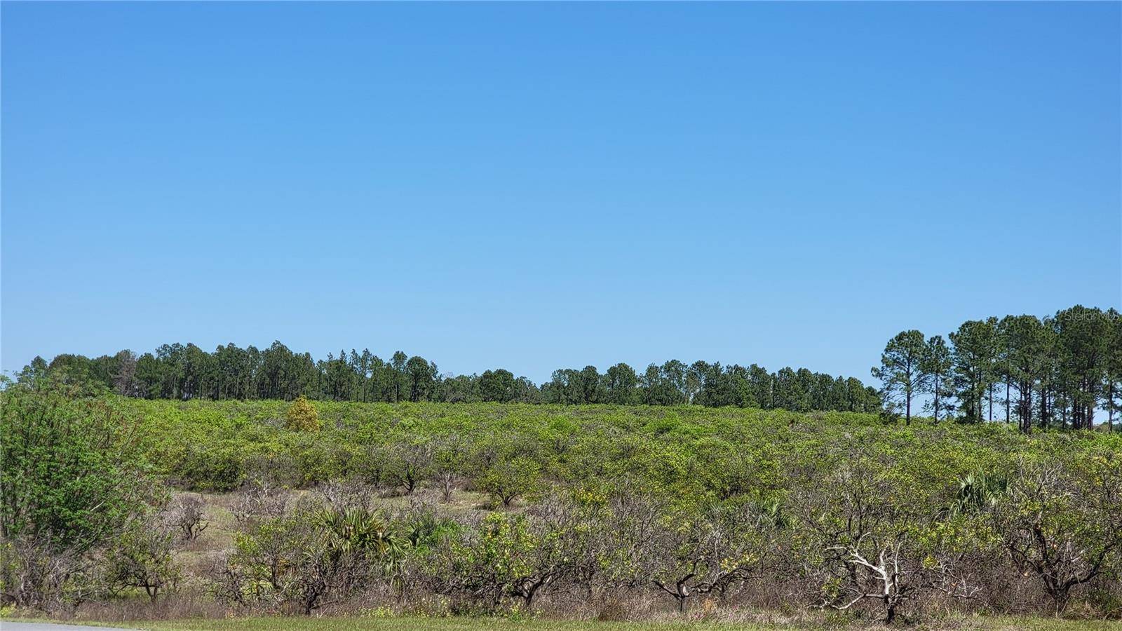 Eustis, FL 32736,0 THRILL HILL RD