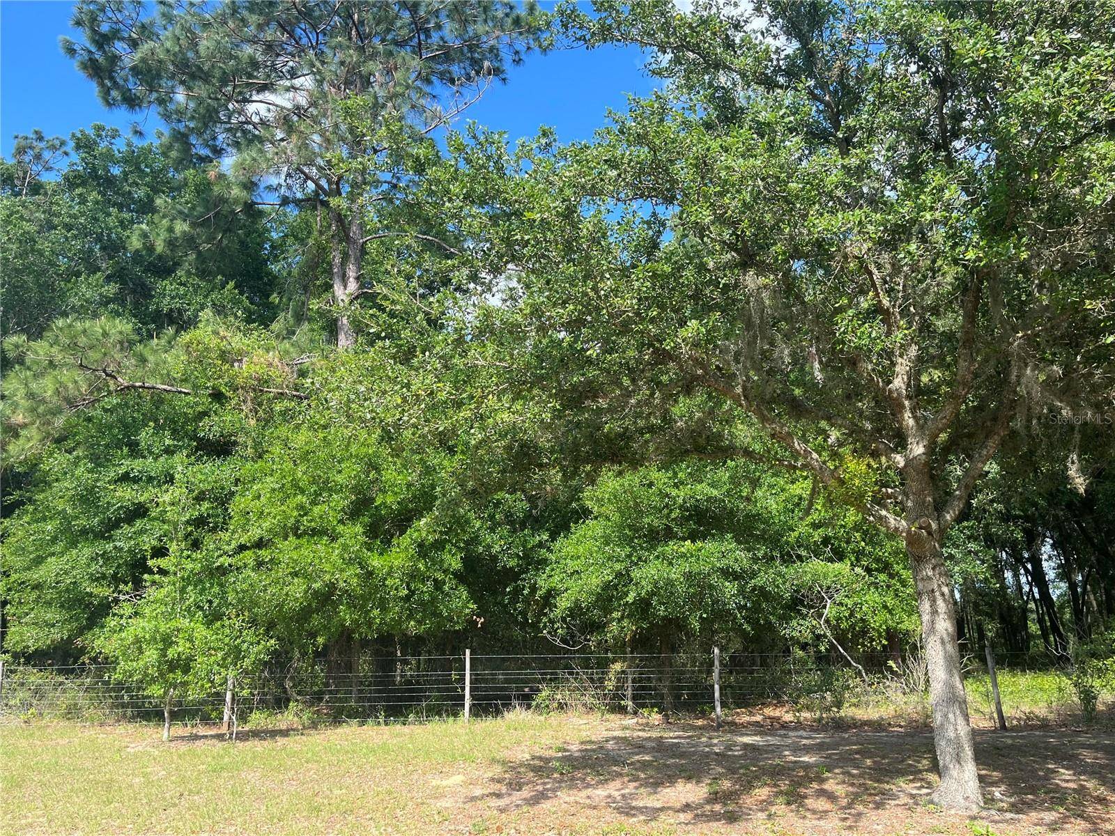 Groveland, FL 34736,TBD GRASS ROOTS RD