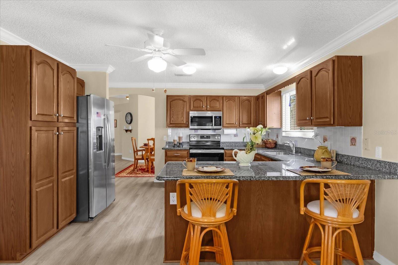 The Villages, FL 32159,733 PALMA DR