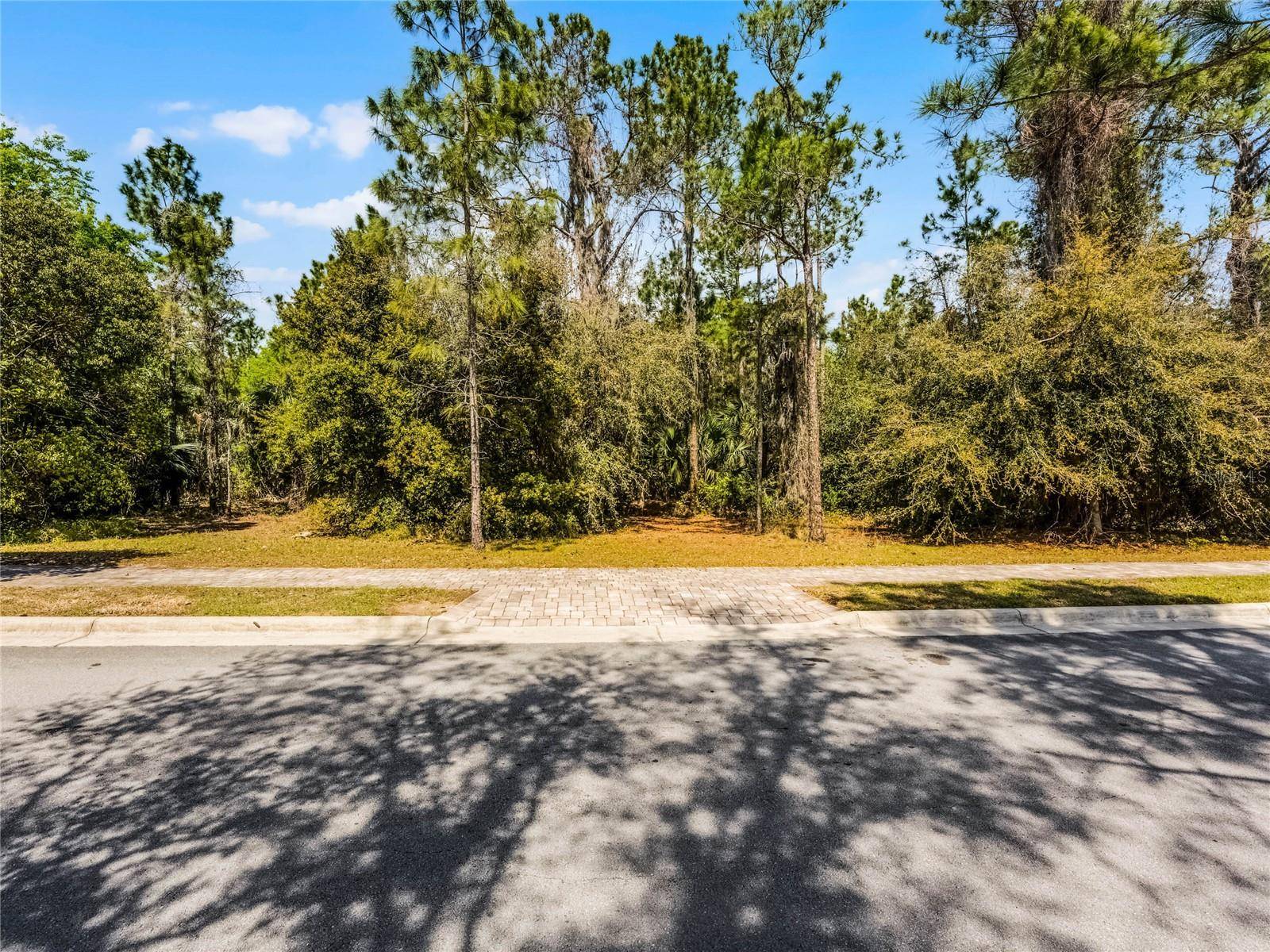Montverde, FL 34756,15946 PENDIO DR