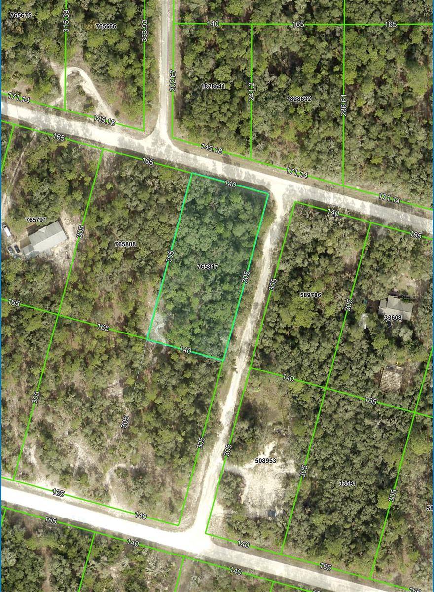 Webster, FL 33597,FORGE DR