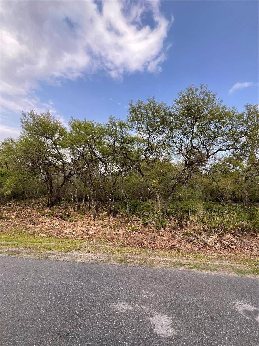 Webster, FL 33597,8230 SHASTA ST