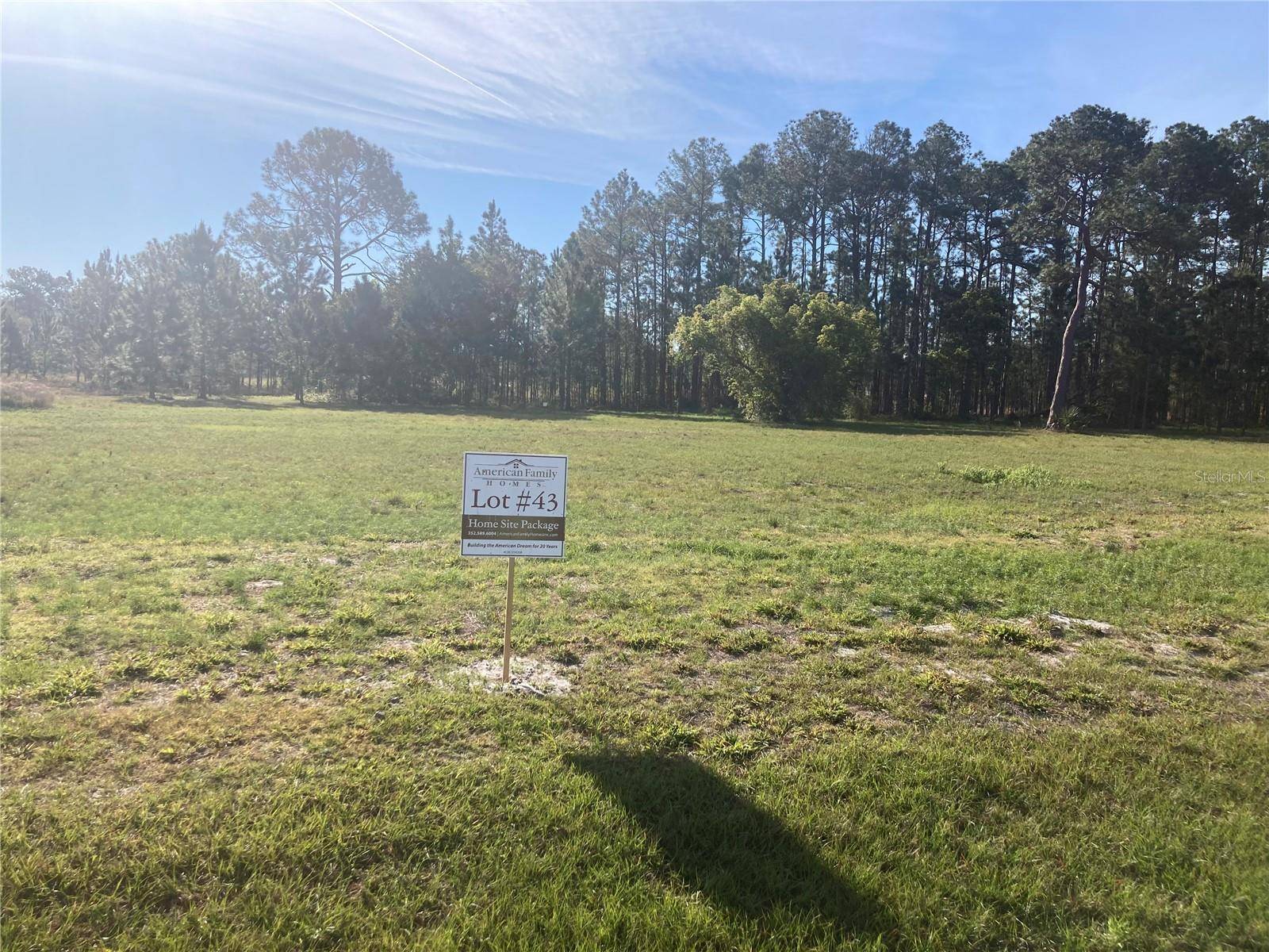 Umatilla, FL 32784,38518 WOODED MEADOW DR