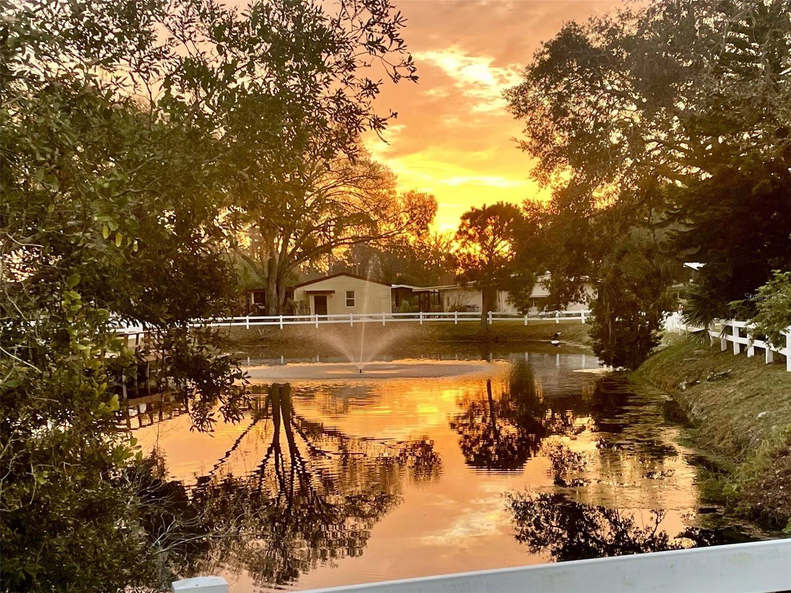 Tavares, FL 32778,501 SANTA FE RD