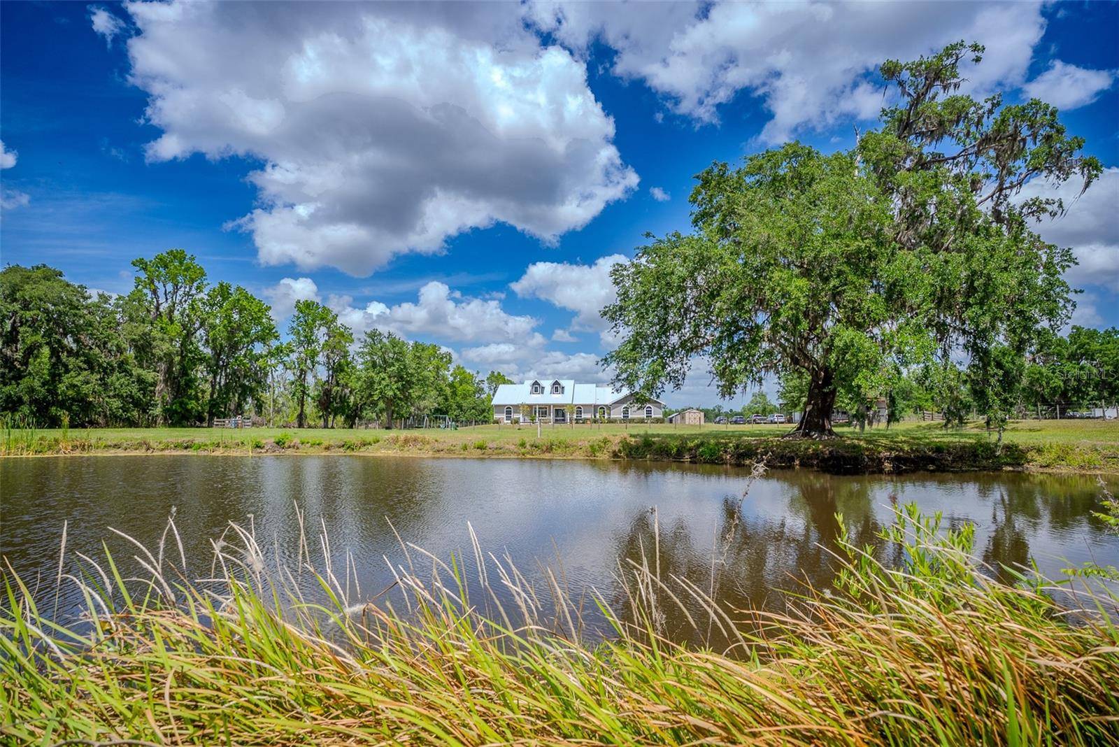 Groveland, FL 34736,15141 FARM RD