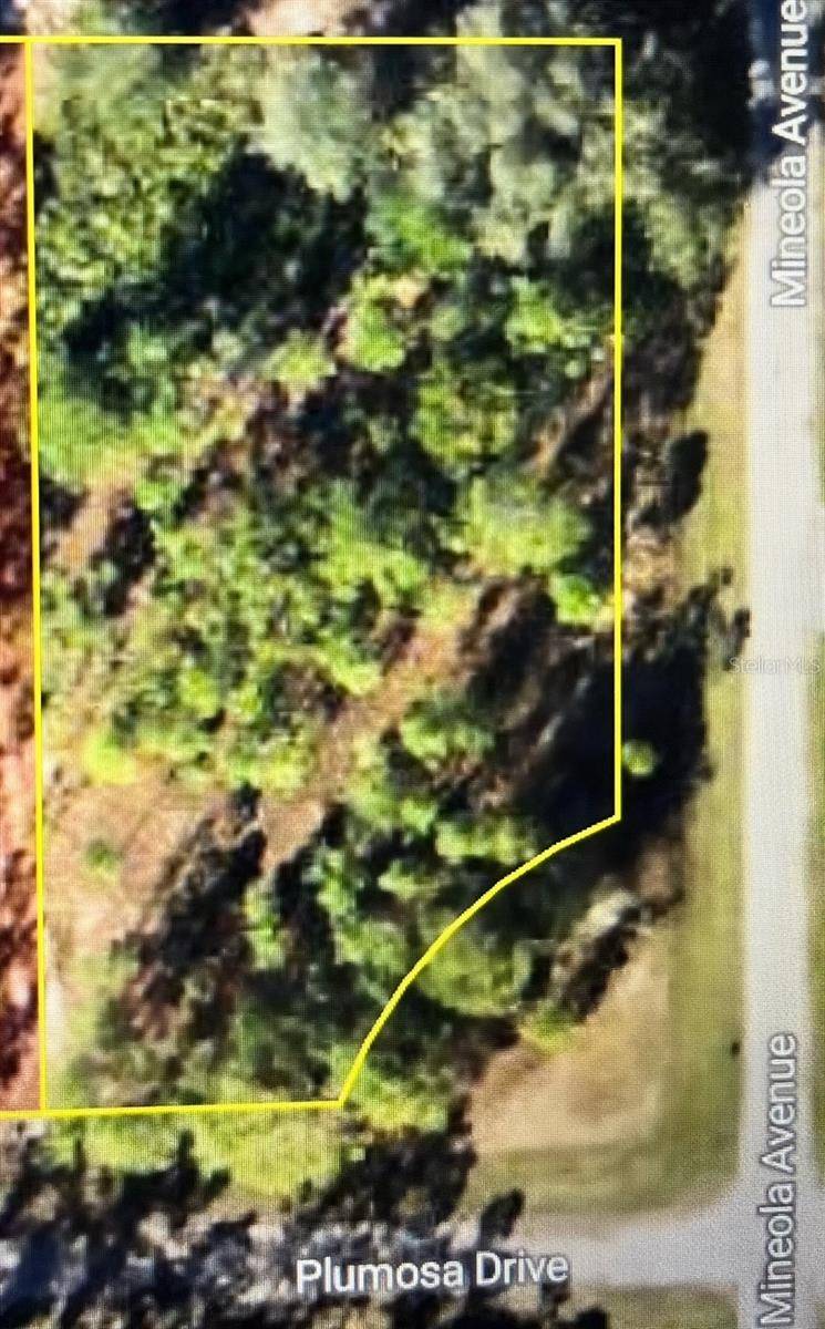 Indian Lake Estates, FL 33855,3250 PLUMOSA DR