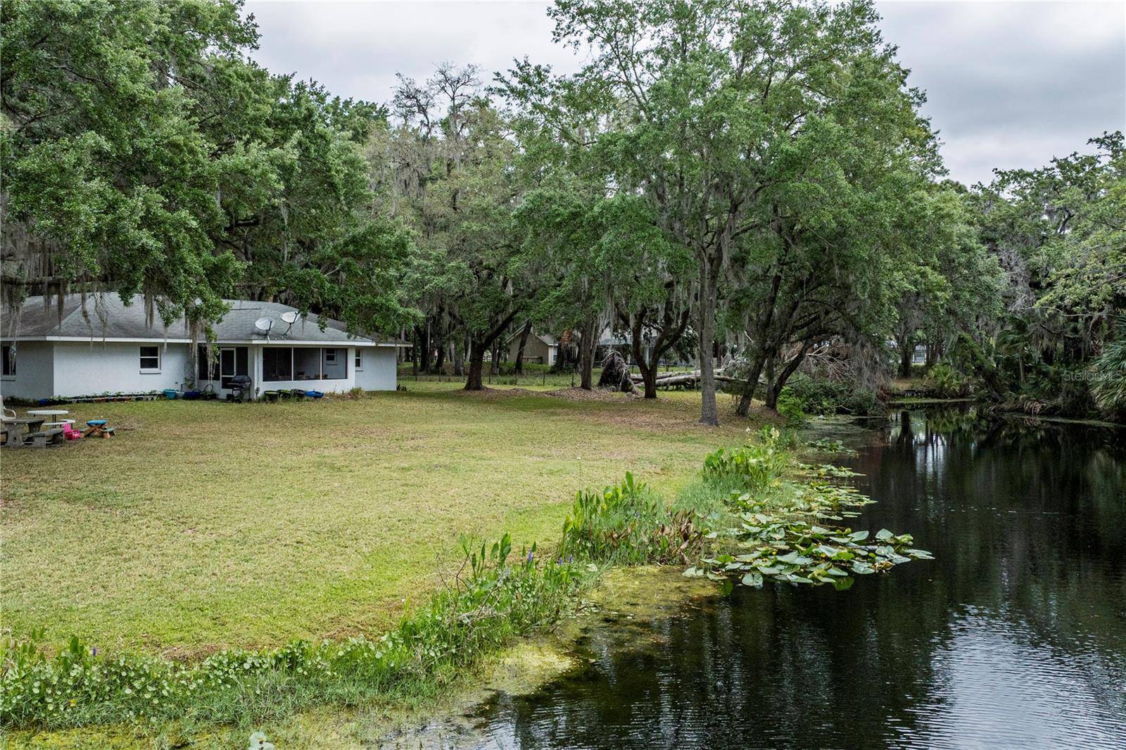 Leesburg, FL 34788,7938 JACKSONS RIVER RD