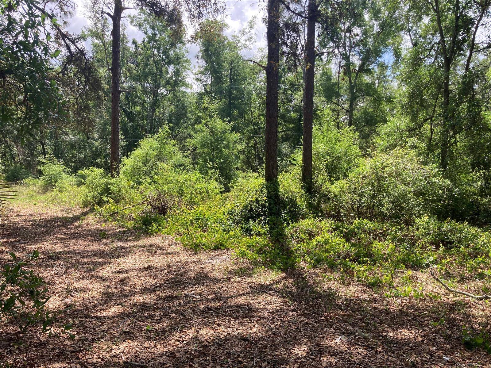 Webster, FL 33597,3499 BURWELL RD