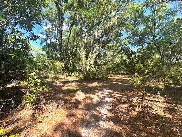 Inverness, FL 34450,4140 S KENVERA LOOP