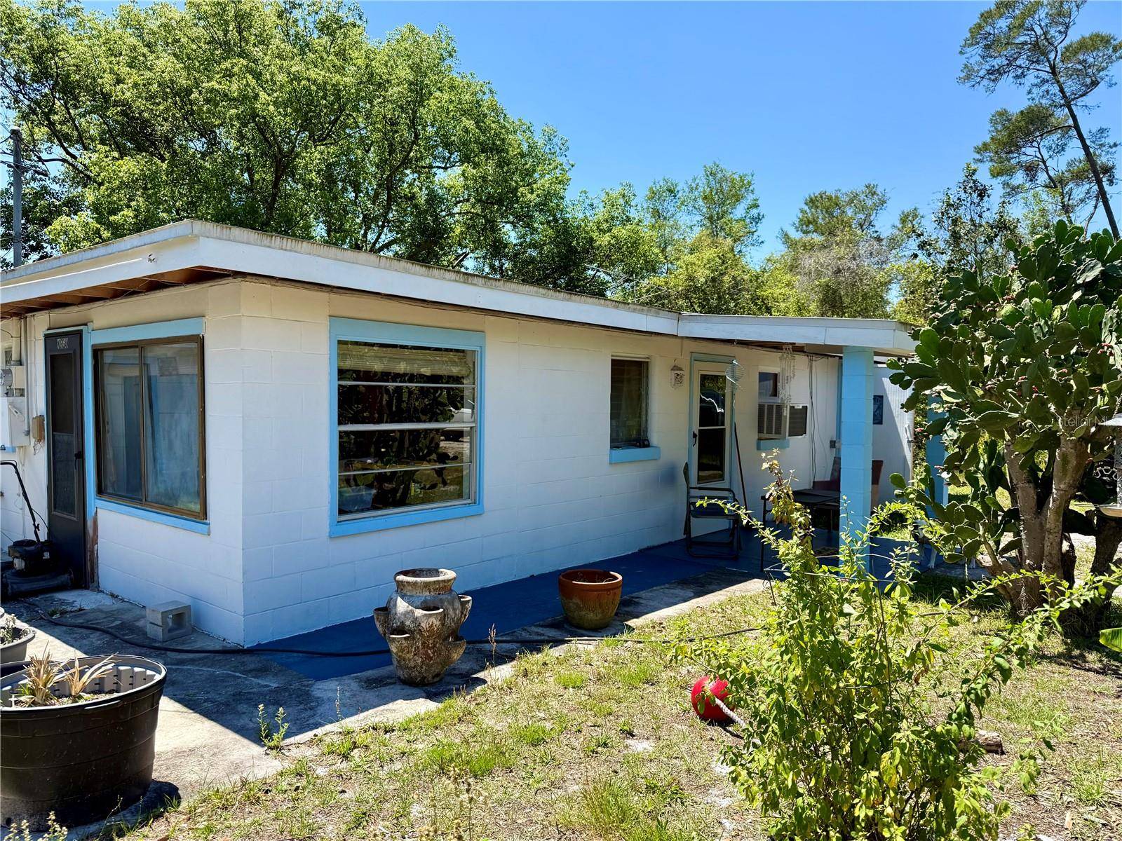 Paisley, FL 32767,27614 JEAN AVE