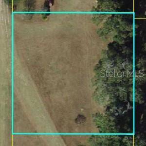 Oxford, FL 34484,NE 36TH ST.