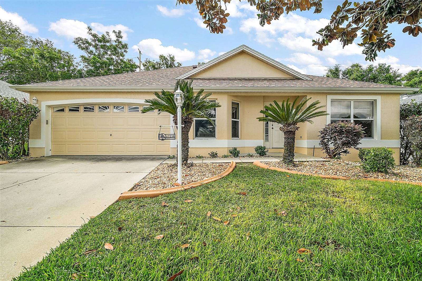 The Villages, FL 32162,17238 SE 94TH COULTS CIR