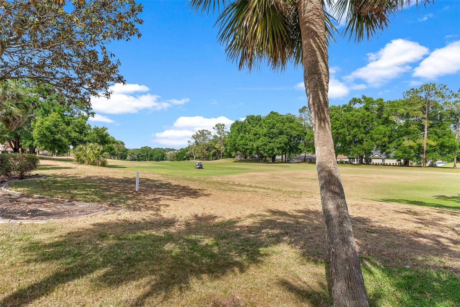 Lady Lake, FL 32159,39206 TREELINE DR