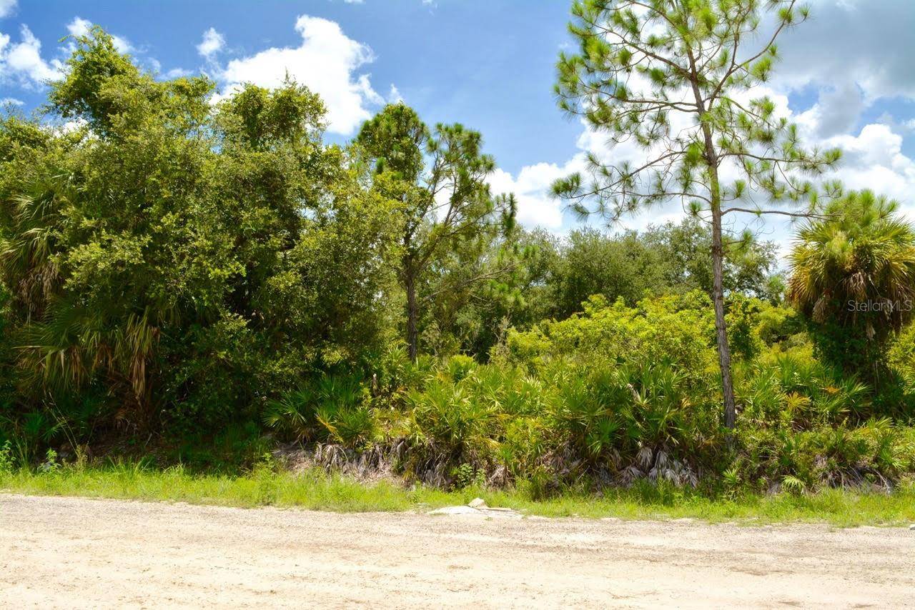 Lehigh Acres, FL 33972,410 THOMPSON AVE
