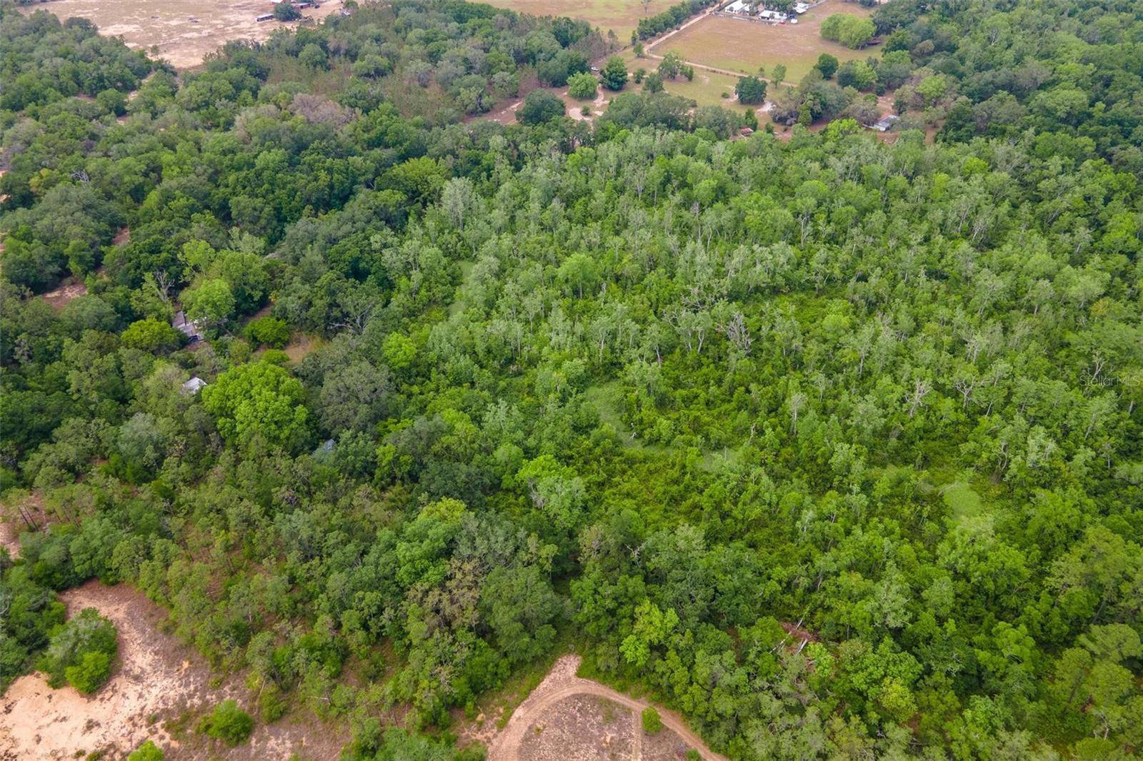 Astatula, FL 34705,22406 BELGARD LN