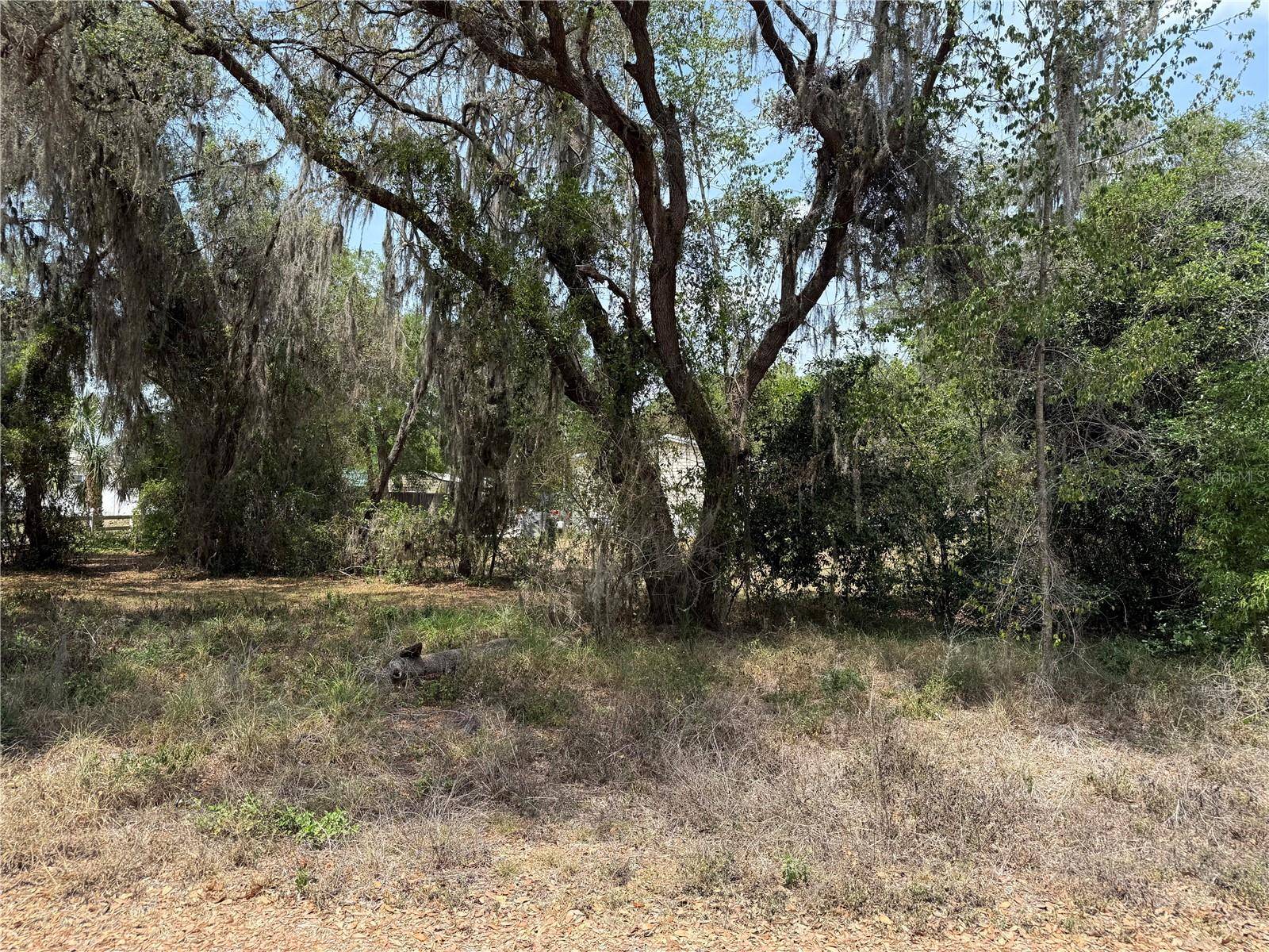 Lake Panasoffkee, FL 33538,Vacant Land NW 8TH TRL