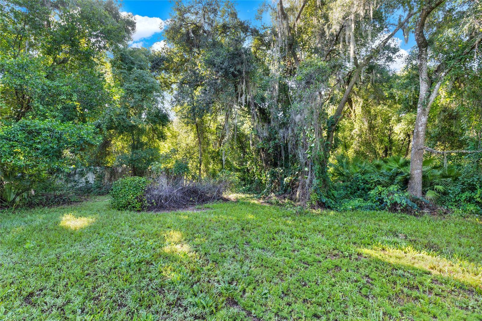 Umatilla, FL 32784,SE 157TH ST