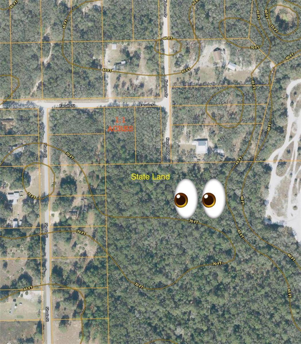 Webster, FL 33597,FACULTY ST