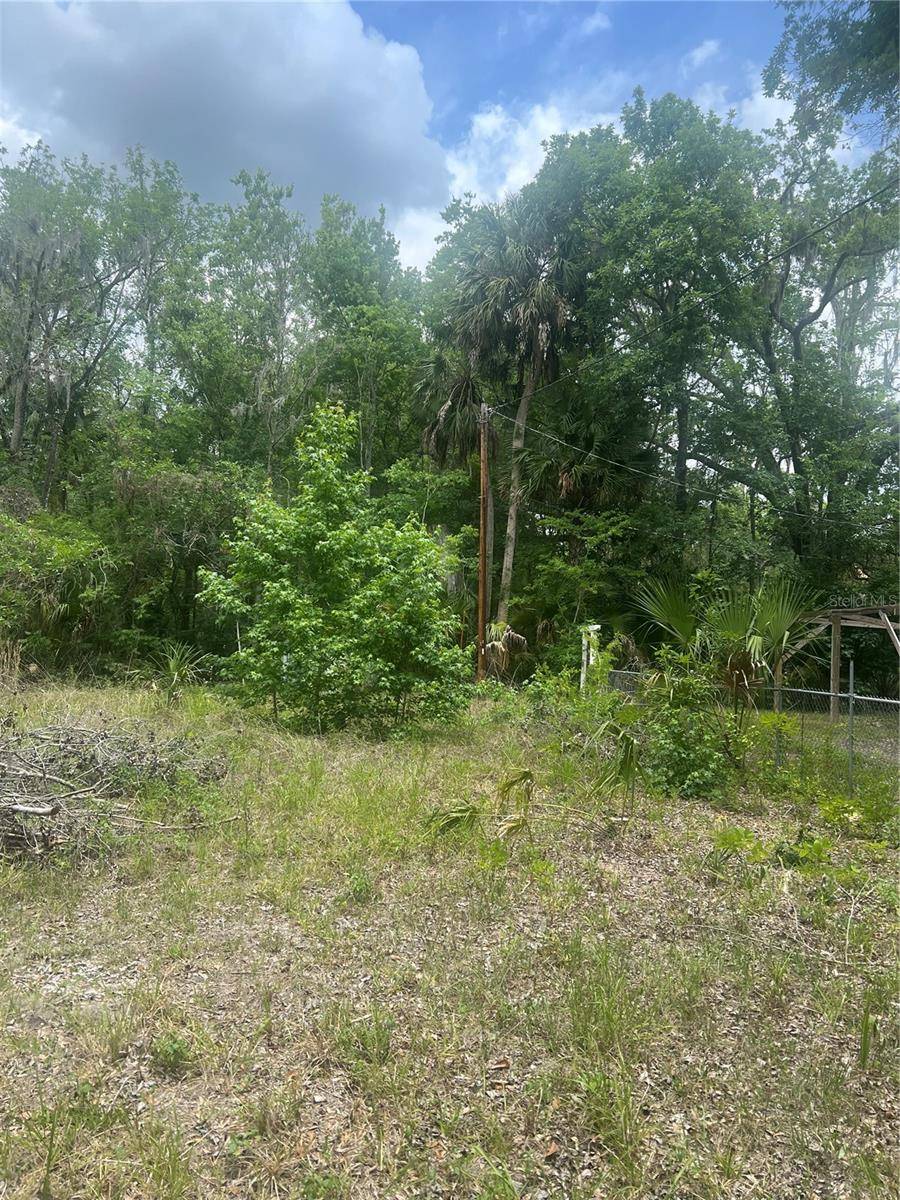 Lake Panasoffkee, FL 33538,2614 CR 412